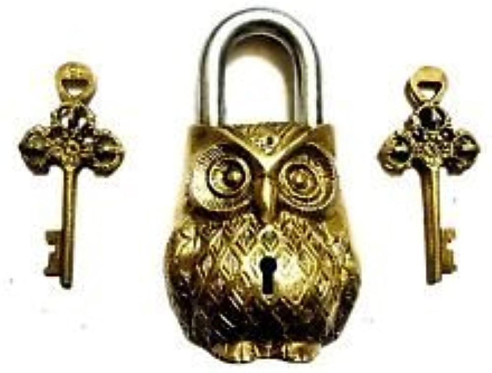 Brass owl shape door pad locks